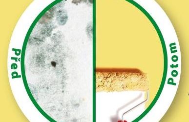 Obtěžují Vás řasy a plísně na stěnách?